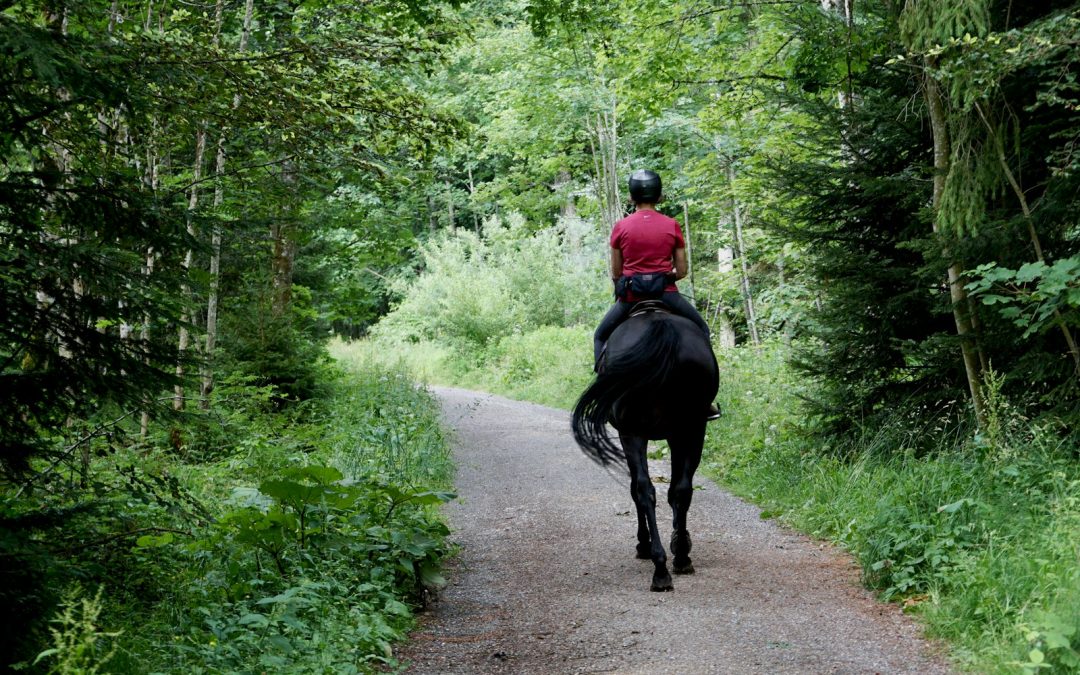 man in red jacket riding black horse on road during daytime