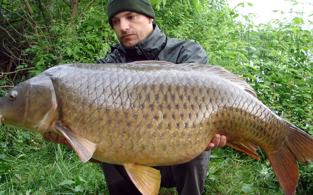 Exploring Stockport’s Top Fishing Spots: A Haven for Carp and Pike Enthusiasts