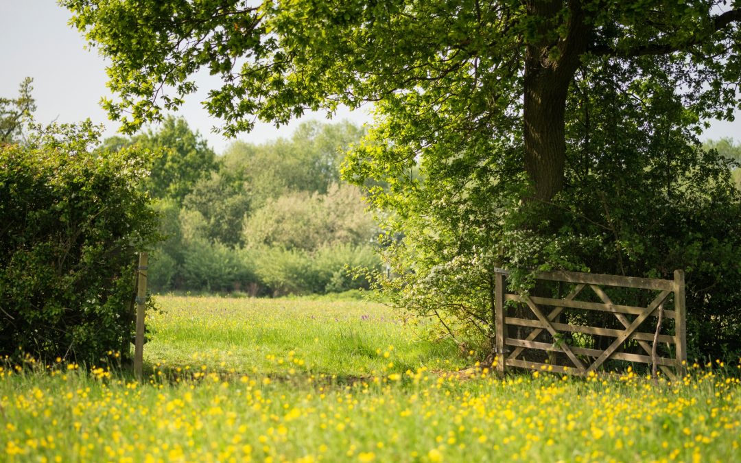 Discover Nature: Family-Friendly Environmental Education Walks in Stockport Countryside