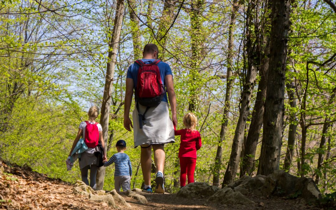 Explore Bramall Hall: Unravelling Parkland Walking Trails and More