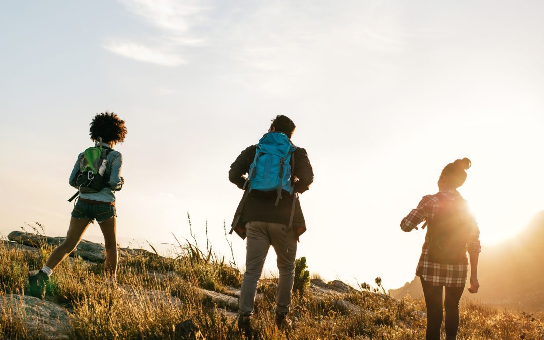 Exploring the Mersey Valley Timberland Trail, Stockport: A Blend of History and Nature’s Charm