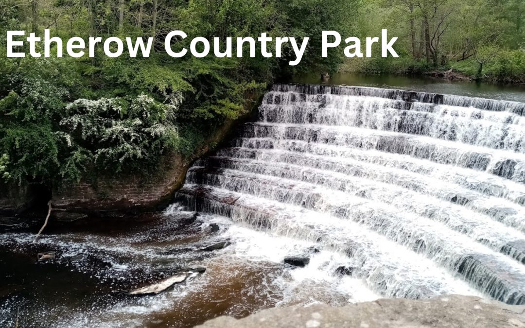 Unleashing the Joy of Etherow Country Park Circular Walk: Tips and Insights