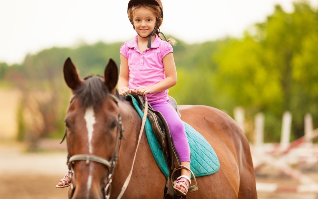 Unlocking Harmony: Discover the Unique Horse Riding in Stockport