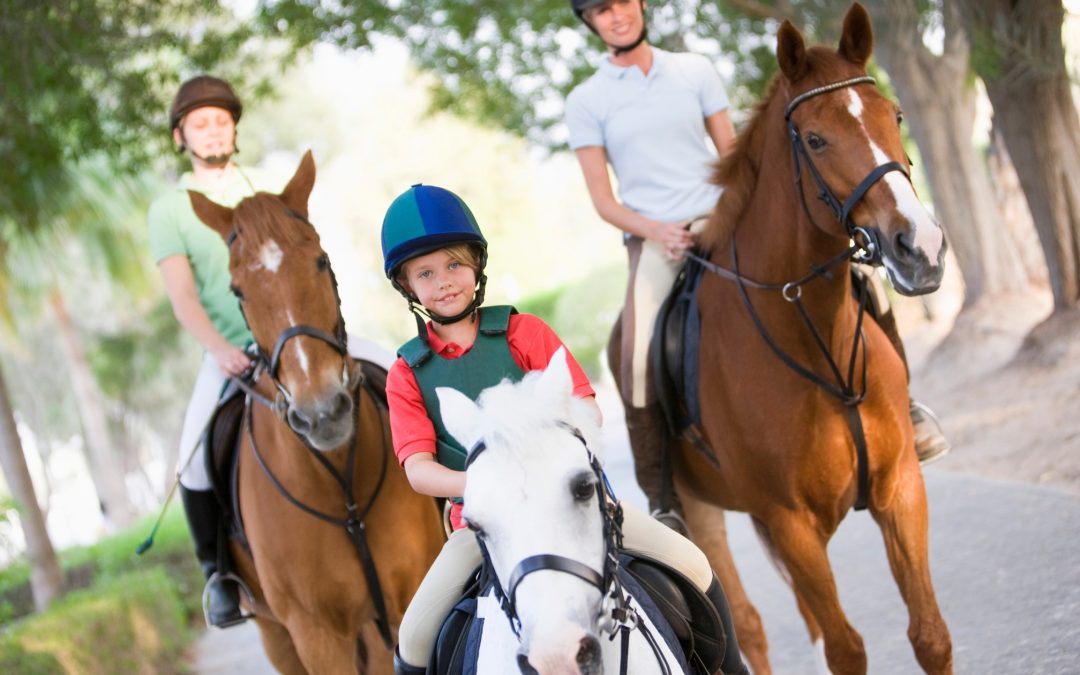 Discover Inclusive Riding: Mill Farm Riding School Community and Lessons