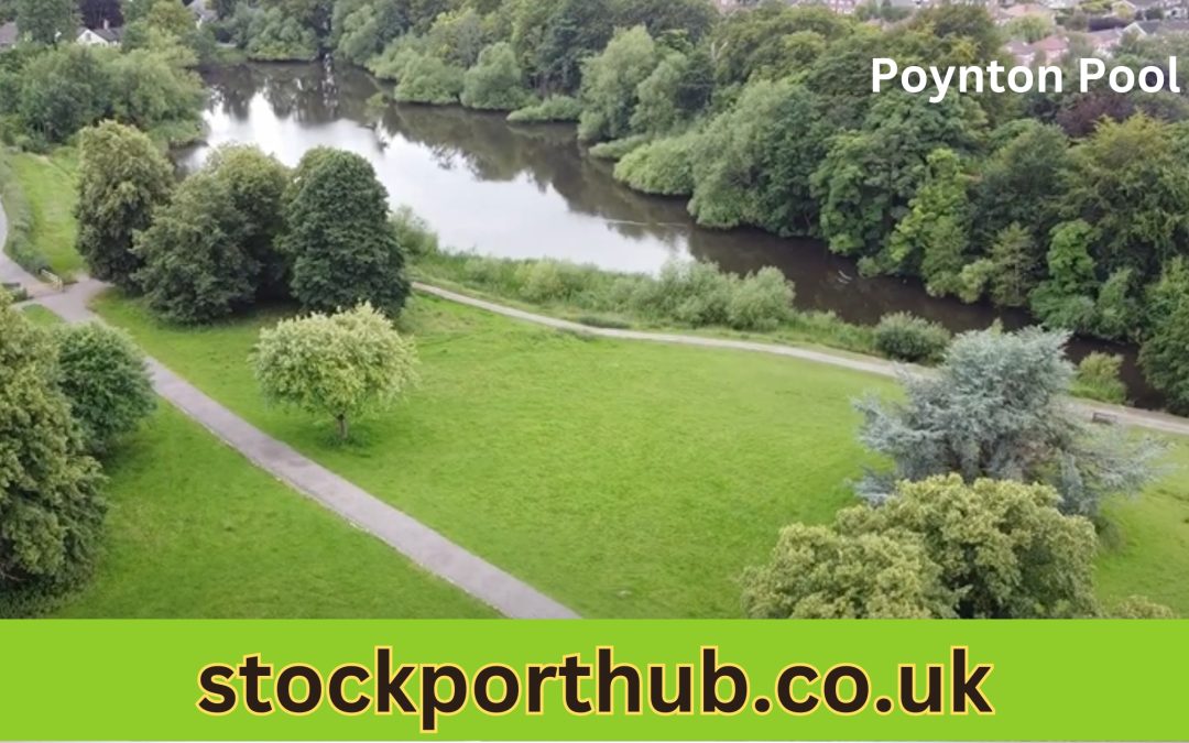 Championing Nature: How the Poynton Pool Tree Saving Campaign is Combating Biodiversity Loss