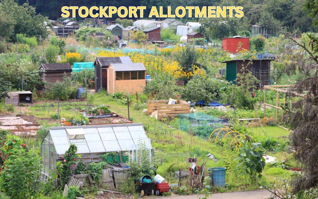 Discover the Joy of Stockport Allotments: Grow Your Own Fresh Produce and Build a Community