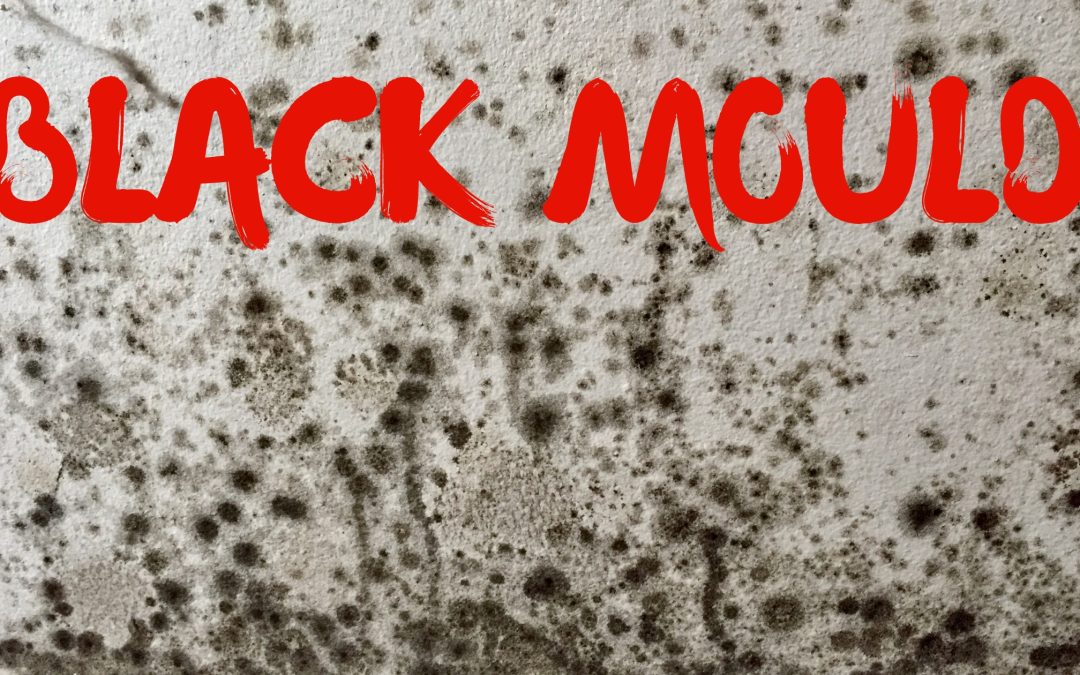 black mould